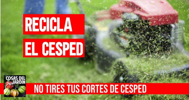 4 usos increibles para los cortes de cesped