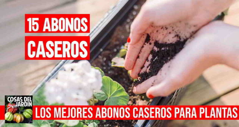 15 abonos caseros para plantas, simples y económicos