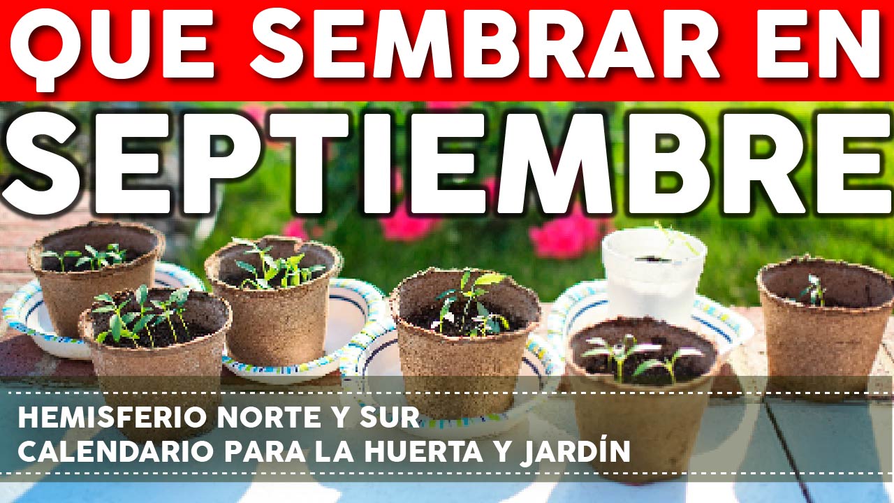 Qué sembrar en Septiembre – Calendario de tareas para el huerto y el jardin