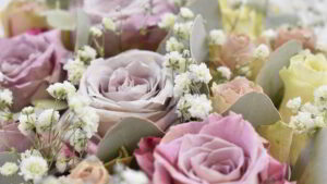 Qué son las flores preservadas? 6 formas de preservar flores