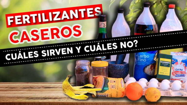 Fertilizantes Caseros. Cuáles funcionan y Cuáles no?