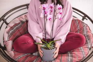 10 plantas de interior ideales para regalar