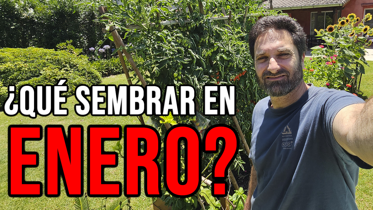 Tareas que se pueden hacer y los cultivos que se pueden sembrar en el mes de Enero, tanto en el hemisferio Norte como en el Hemisferio Sur #huerto #huerta #huertourbano #jardineria #jardin #cultivar