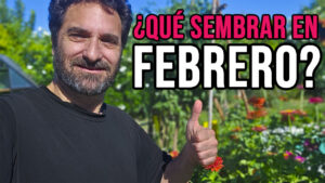 En este artículo te mencionaré las tareas que se pueden hacer y los cultivos que se pueden sembrar en el mes de Febrero, tanto en el hemisferio Norte como en el Hemisferio Sur #huerta #huerto #huertourbano #jardin #jardineria #Cultivar