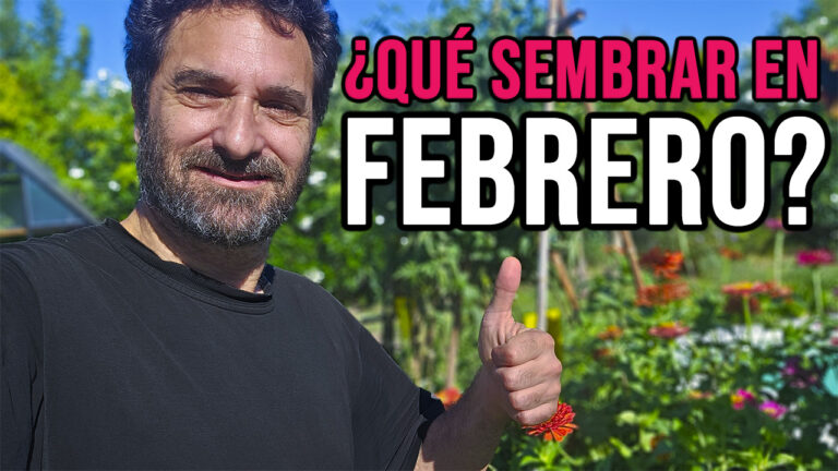QUE SEMBRAR EN FEBRERO – CALENDARIO DE TAREAS HUERTO Y JARDIN 2026