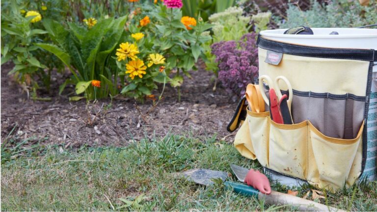 5 herramientas de jardinería que debes tener en tu huerta o jardín