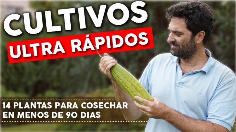 14 PLANTAS que puedes COSECHAR en menos de 90 días y UNO que te sorprenderá