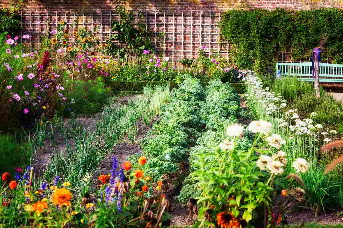 Las 11 mejores flores para plantar en el Huerto