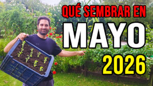 Cuales son las tareas que se pueden hacer y los cultivos que se pueden sembrar en el mes de Abril, tanto en el hemisferio Norte como en el Sur`#jardin #jardineria #huerto #huerta #huertourbano #cultivar