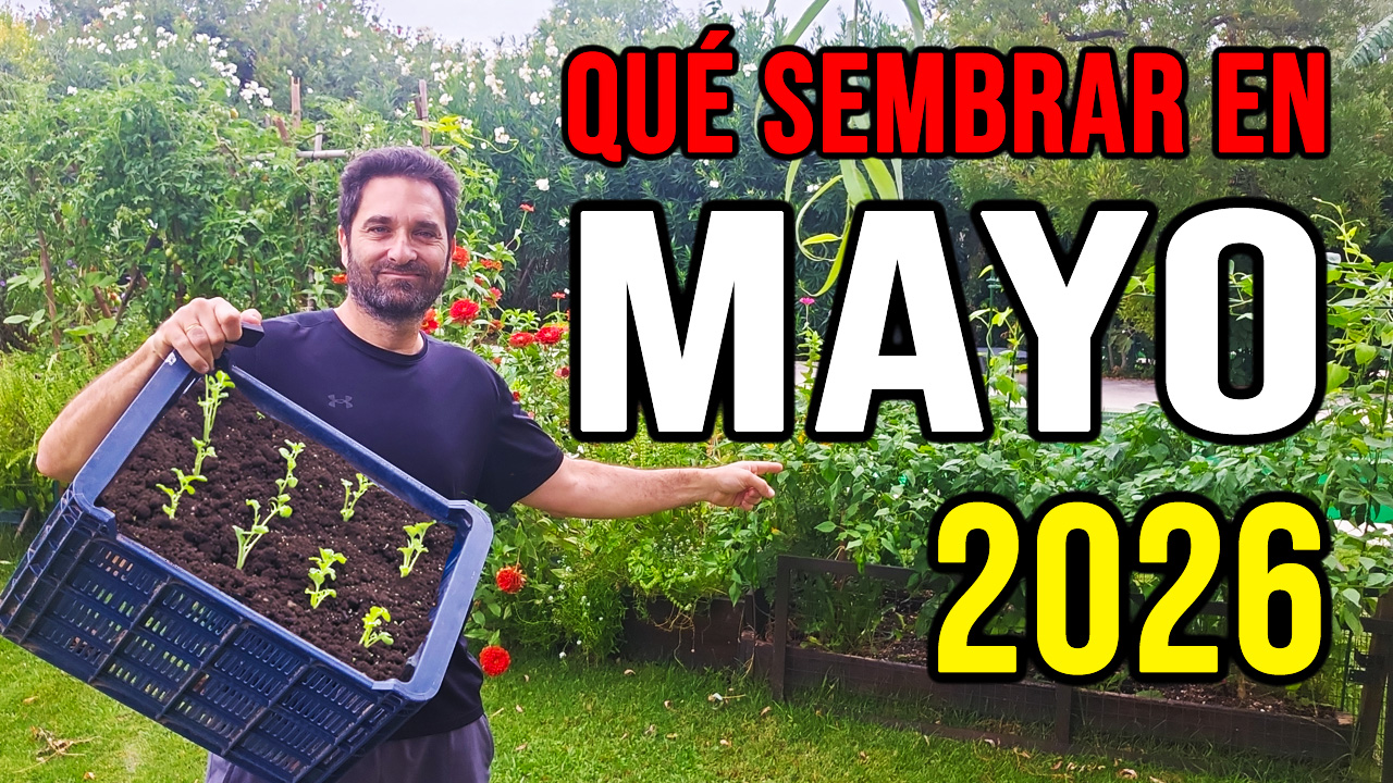Cuales son las tareas que se pueden hacer y los cultivos que se pueden sembrar en el mes de Abril, tanto en el hemisferio Norte como en el Sur`#jardin #jardineria #huerto #huerta #huertourbano #cultivar