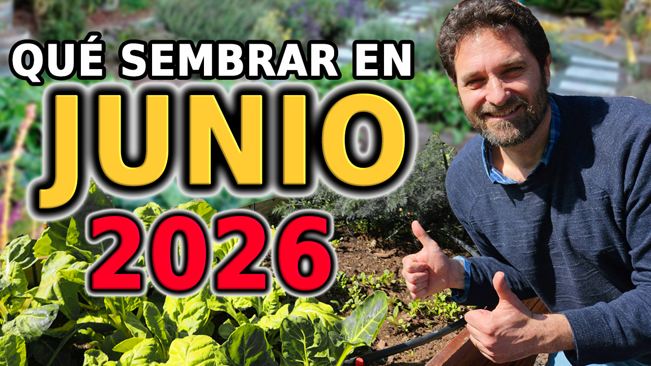 Qué sembrar en Junio – Calendario de tareas para el huerto y el jardin