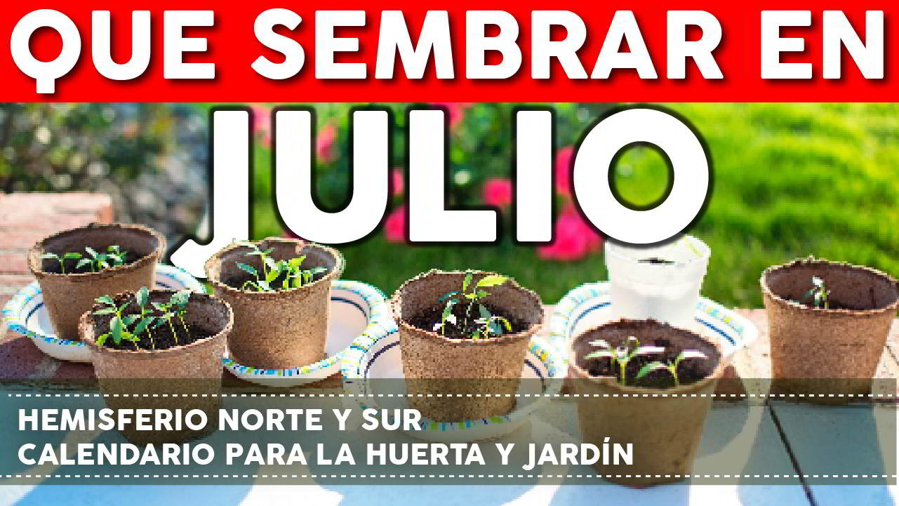 Qué sembrar en Julio – Calendario de tareas para el huerto y el jardín