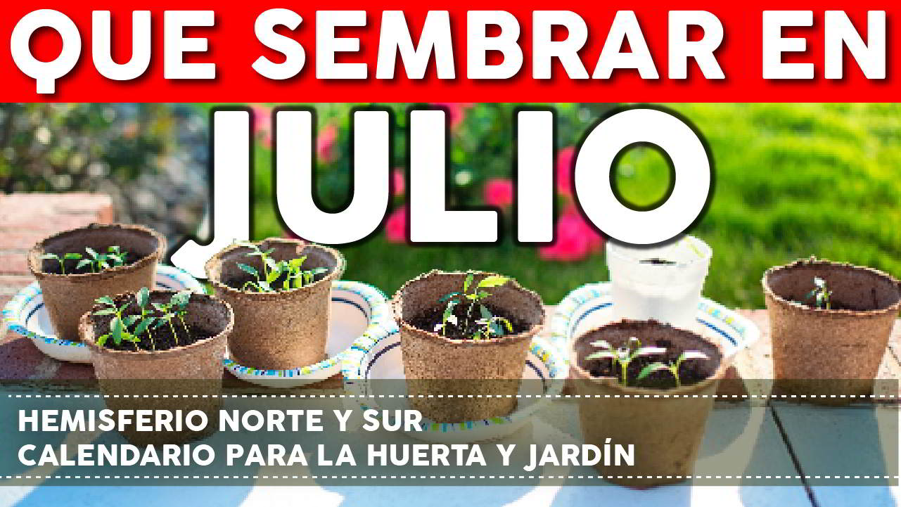 Qué sembrar en Julio – Calendario de tareas para el huerto y el jardín