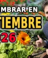 Qué sembrar en Septiembre – Calendario de tareas para el huerto y el jardin
