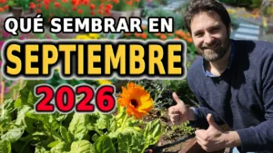 Qué sembrar en Septiembre – Calendario de tareas para el huerto y el jardin