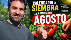 Qué sembrar en Agosto 2026- Calendario de tareas para el huerto y el jardín