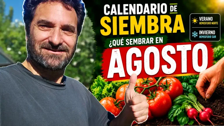 Qué sembrar en Agosto 2026- Calendario de tareas para el huerto y el jardín