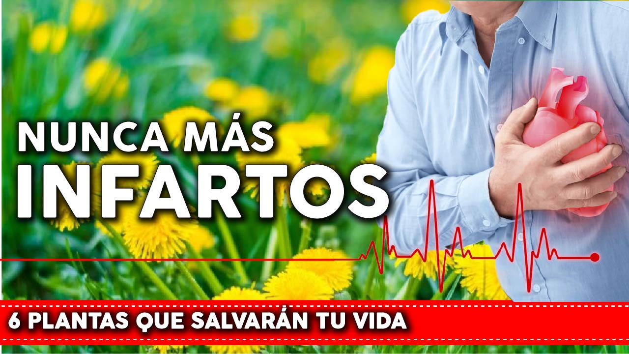 6 plantas que previenen infarto y enfermedades coronarias