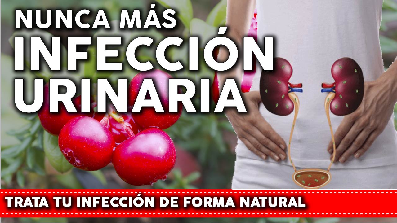 6 plantas para prevenir INFECCION URINARIA en tu huerta o jardín