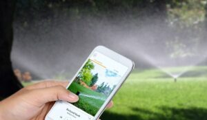 Riega inteligente y ahorra agua