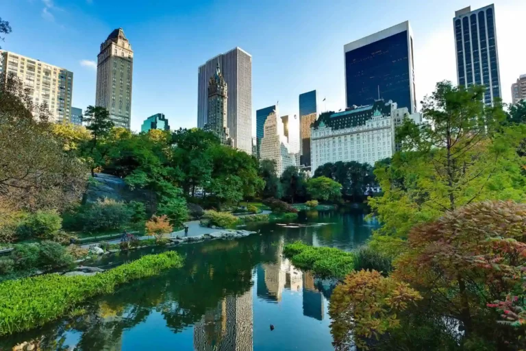 7 razones para la conservación de espacios verdes en ciudad