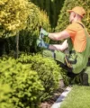 ¿Cómo Elegir una Empresa de Jardinería a domicilio?