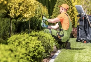¿Cómo Elegir una Empresa de Jardinería a domicilio?