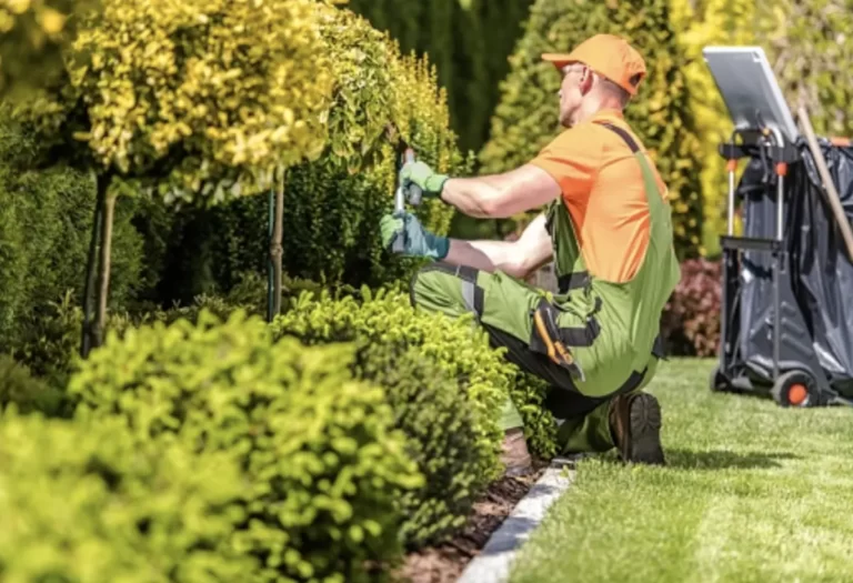 ¿Cómo Elegir una Empresa de Jardinería a domicilio?