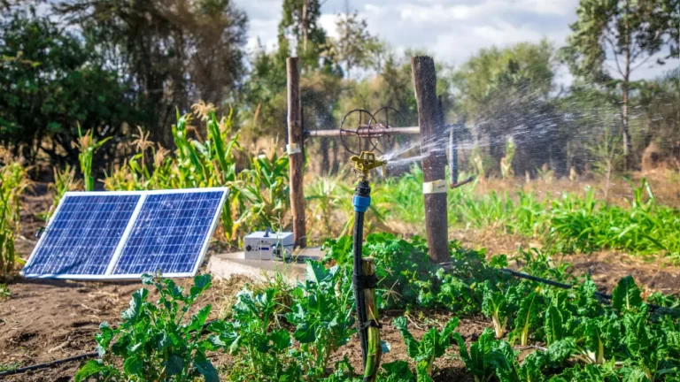 Regar tu jardín nunca fue tan fácil: descubre los beneficios de las bombas solares para riego