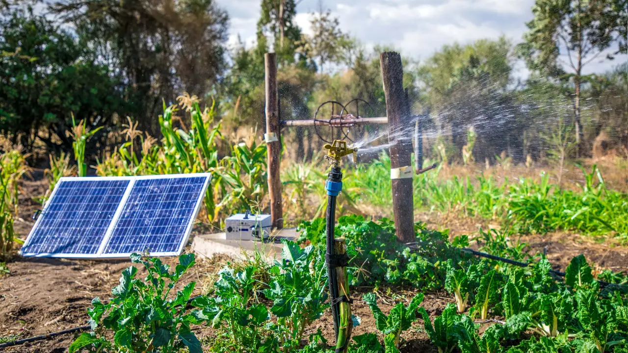 Regar tu jardín nunca fue tan fácil: descubre los beneficios de las bombas solares para riego