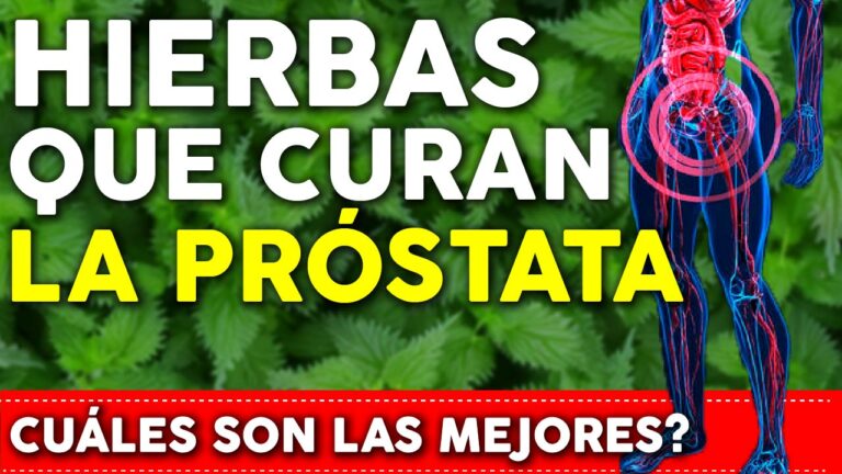 Estas Hierbas CURAN la PRÓSTATA – Reducen y Previenen enfermedades