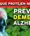 Estas PLANTAS Previenen Demencia y Alzheimer de forma natural