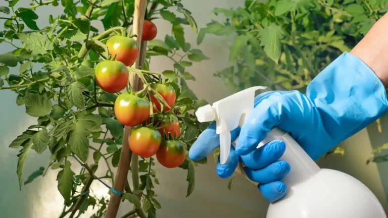 Control de Plagas Orgánico: Manejando Insectos Indeseados con Cuidado