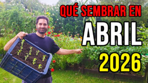Cuales son las tareas que se pueden hacer y los cultivos que se pueden sembrar en el mes de Abril, tanto en el hemisferio Norte como en el Sur #huerto #huerta #huertourbano #jardin #jardineria #cultivar