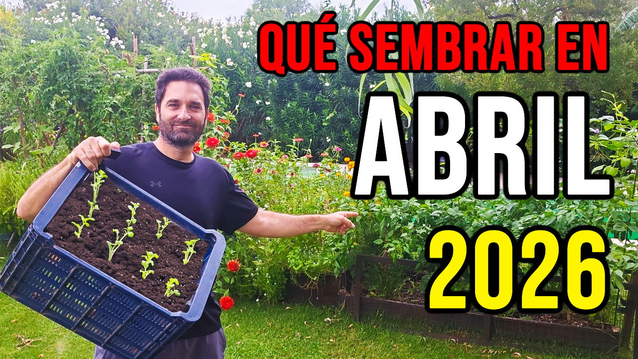 Cuales son las tareas que se pueden hacer y los cultivos que se pueden sembrar en el mes de Abril, tanto en el hemisferio Norte como en el Sur #huerto #huerta #huertourbano #jardin #jardineria #cultivar