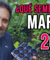 QUE SEMBRAR EN MARZO 2026 y CALENDARIO DE TAREAS EN EL HUERTO Y JARDIN