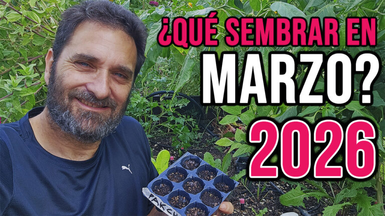 QUE SEMBRAR EN MARZO 2026 y CALENDARIO DE TAREAS EN EL HUERTO Y JARDIN